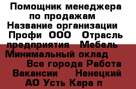 Помощник менеджера по продажам › Название организации ­ Профи, ООО › Отрасль предприятия ­ Мебель › Минимальный оклад ­ 60 000 - Все города Работа » Вакансии   . Ненецкий АО,Усть-Кара п.